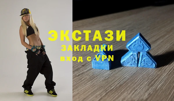 хмурый Аркадак