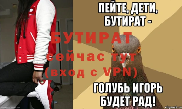 хмурый Аркадак