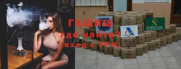 хмурый Аркадак