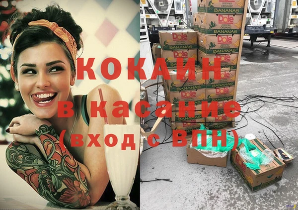 хмурый Аркадак