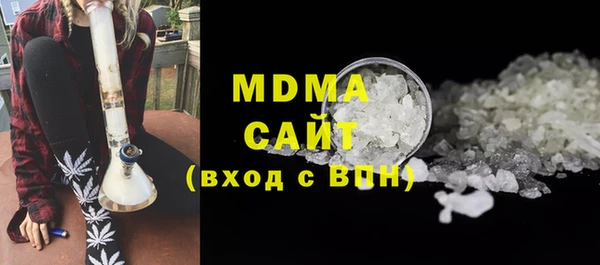 хмурый Аркадак