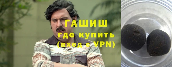 хмурый Аркадак