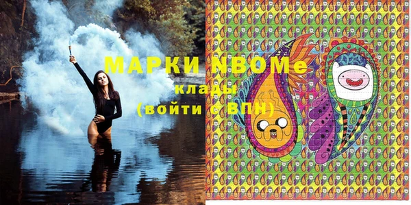 хмурый Аркадак