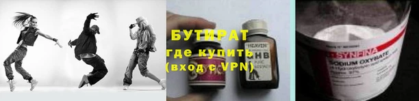 хмурый Аркадак