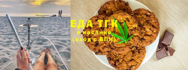 хмурый Аркадак
