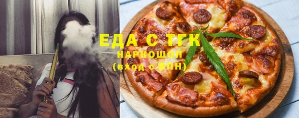 хмурый Аркадак