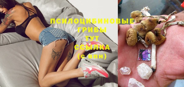 спайс Арсеньев
