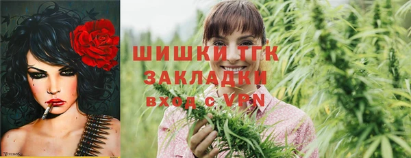 хмурый Аркадак