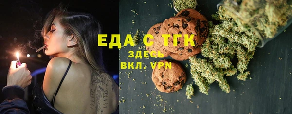 хмурый Аркадак