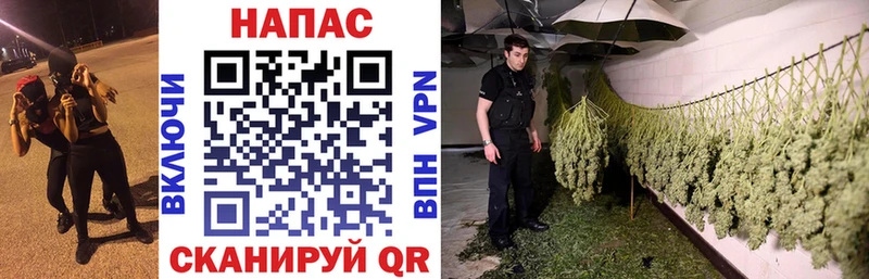 Купить закладки  Обь  Бошки марихуана гибрид 